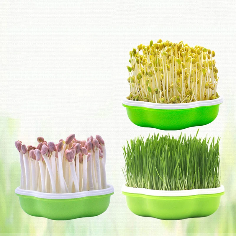 Garden Hydroponic Peanut Sprout Box Bean Pea Wheat Seedling Sprouter Tray Grass Macetas De Plástico Flower Nursery Box