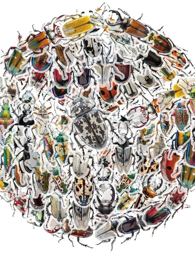 AliExpress Charile 10/30/50pcs Transparent Cute Cartoon Insect Beetle Stickers for Kid Toy DIY Luggage Laptop Phone Case Bike Cool Graffiti Sticker