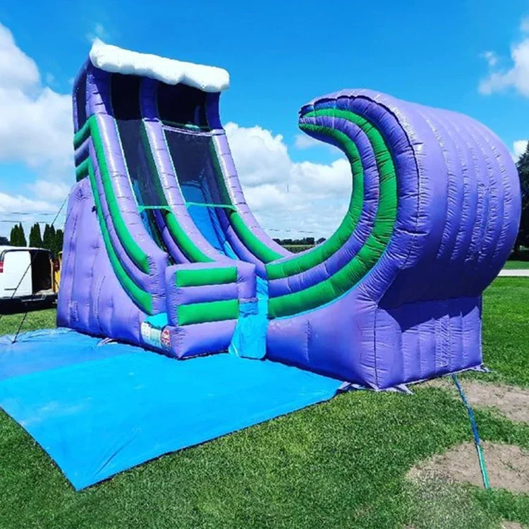 

Climb Dual Lane Amusement Park Shrek Bouncer Castle Inflatable Water Slide for Sale2026