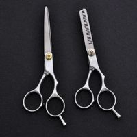 Stainless Steel Hair Cutting Scissors Thinning Barber Salon Hairdressing Shears Silver 6.0 Inch Barber Scissors Barber Shop