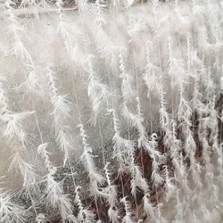 White three-dimensional Tassel Simulated feather Mesh tulle Lace Dress Designer Fabric Wedding dresses costumes dresses fabrics