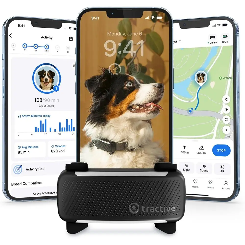 Smart Dog Gps Track…