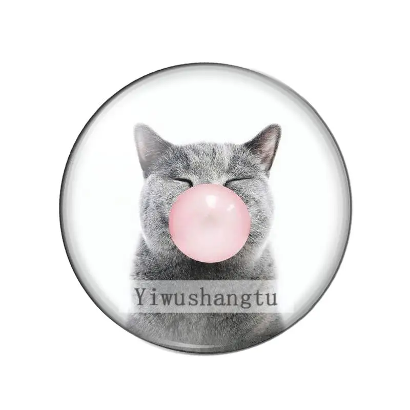 귀여운 고양이 악마의 발톱 사랑스러운 고양이 8mm/10mm/12mm/18mm/20mm/25mm 둥근 사진 유리 카보 숑 데모 평면 뒤로 발견 결과 ZB0543