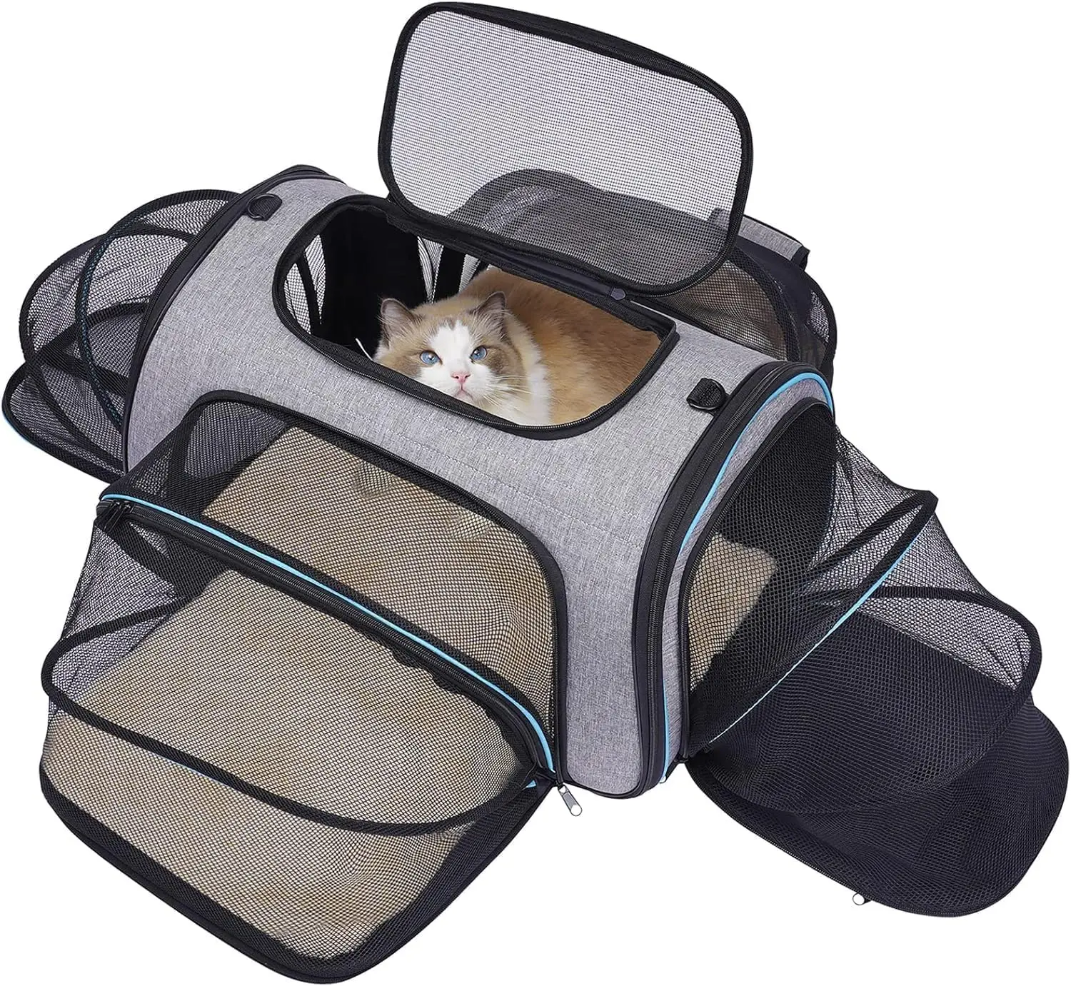 

4 Sides Expandable Pet Carrier Airline Approved Soft-Sided Dog Cat Carrier Bag with Fleece Pad for Cats Puppy and Small Animals