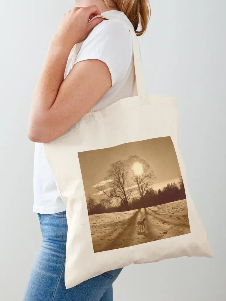 

Casting Shadows Tote Bag tote bag canvas tote bags cloth bags Gift bag Shopping bags