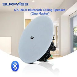 6.5'' 40W Ceiling Speaker Bluetooth in Ceiling Speaker System Built-in Class D Amplifier Indoor Active Recessed Speaker for Home
