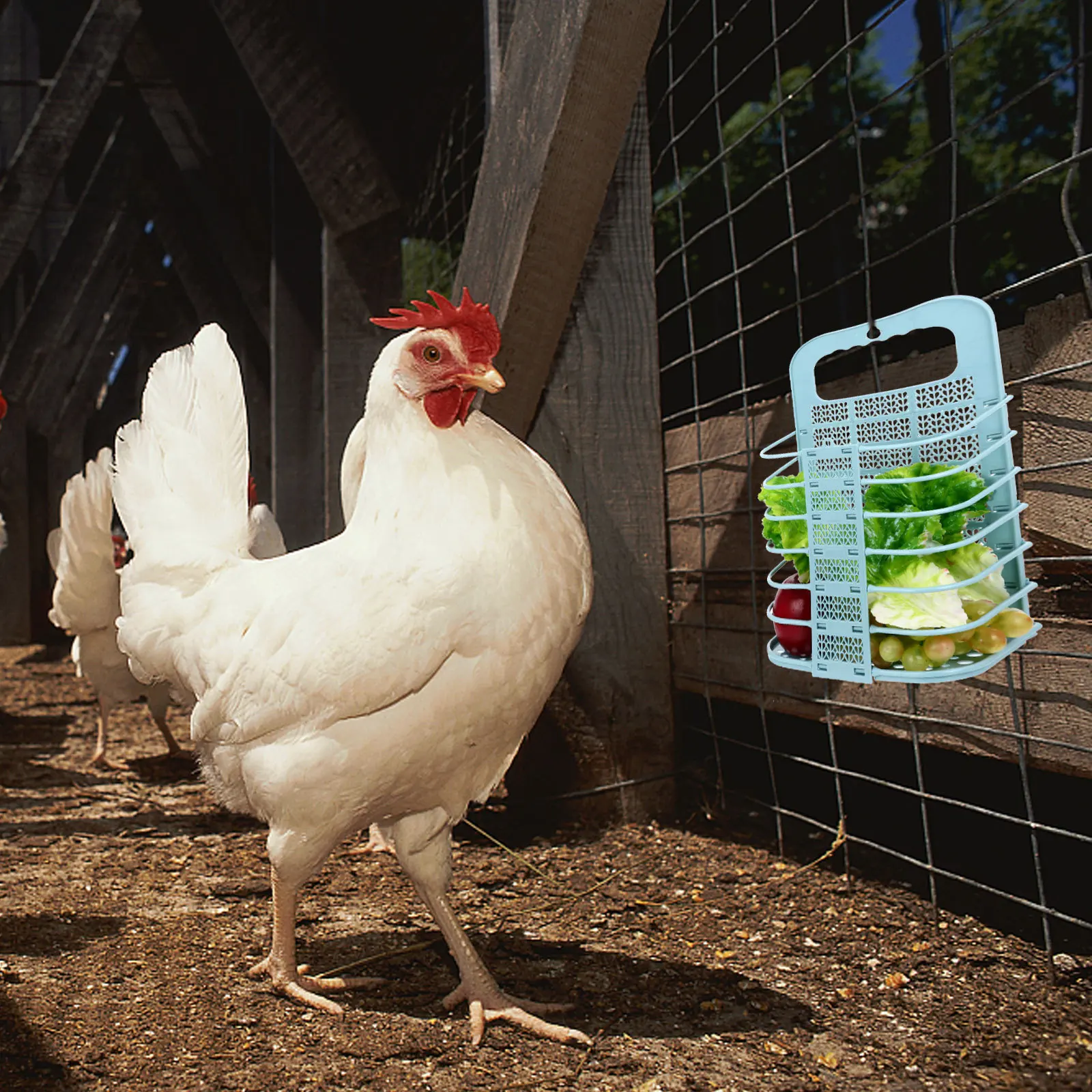 

Hanging Bird Feeder for Cage with Vegetables Fruit Food Holder Treat Dispenser Premium Pet Birds Supplies for Parrots Foraging