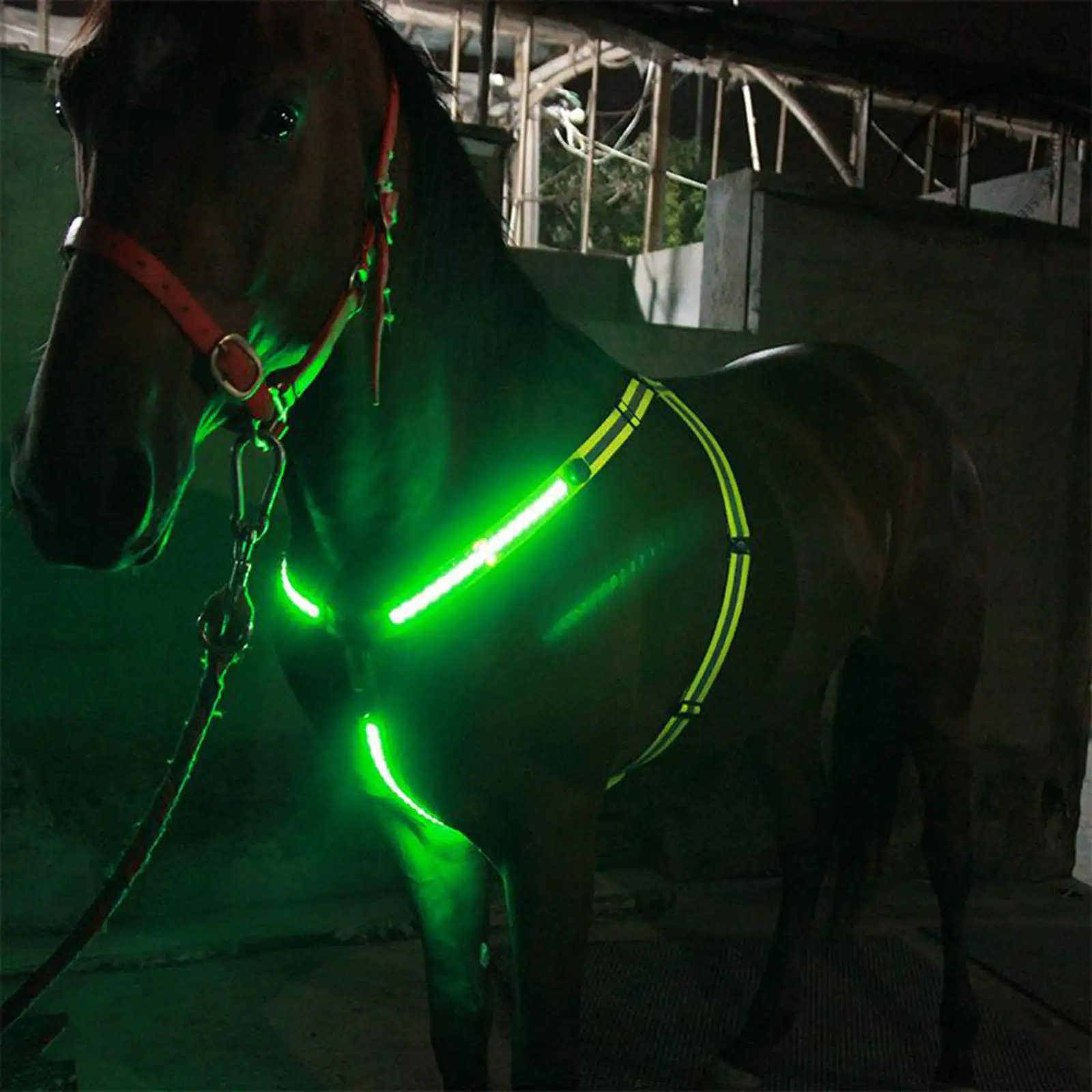 USB LED peto de caballo Collar Halter correa de pecho banda de brida reflectante