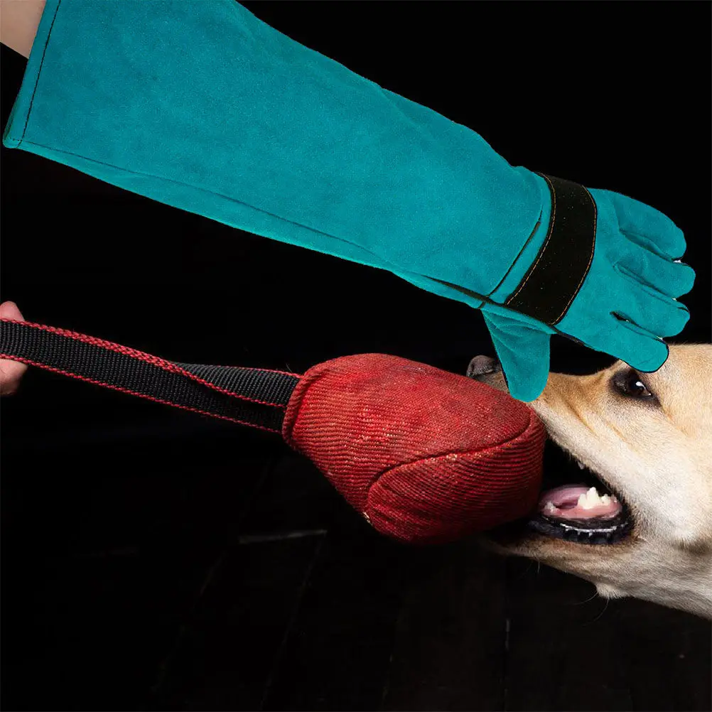 

1 Pair Dog Cat Bite Resistant Gloves Fake Long Sleeve Protective Gloves for Feeding Grooming Training Pet Handling Blue