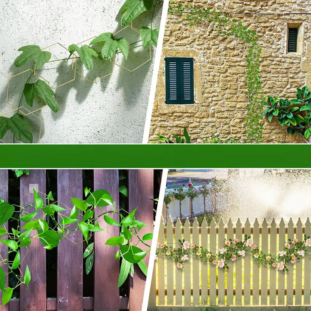 Modern Minimalist Carbon Steel Vine Support Kit Wall Mounted Climbing Plant Trellis For Home Garden Yard Decoration