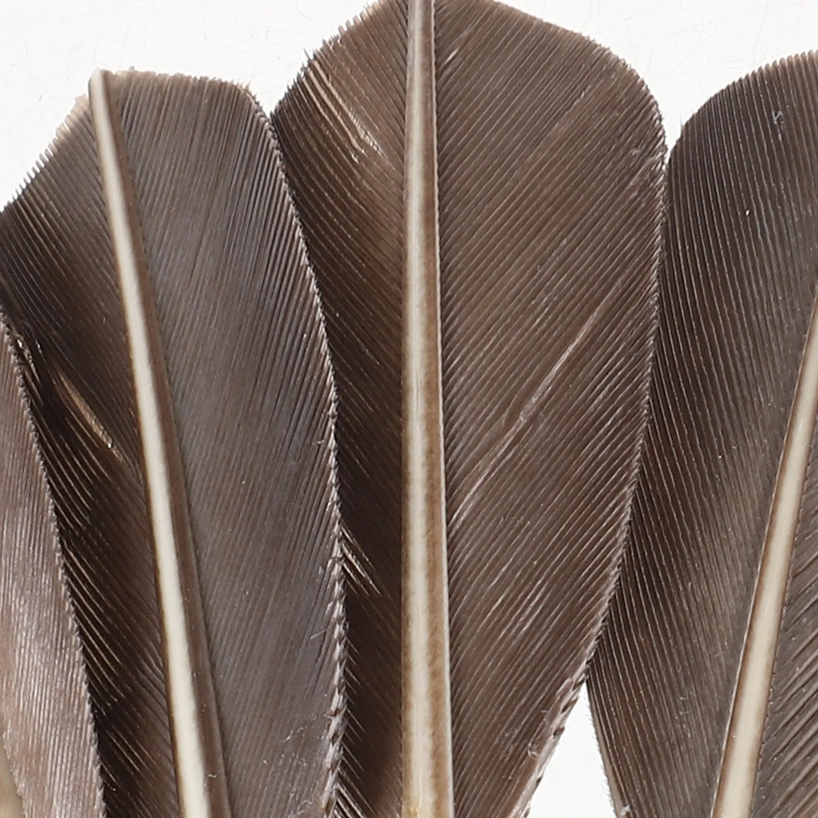 

6 шт. воланов для бадминтона для тренировок, высокая эластичность, устойчивость к разрушению, подходят для тренеров и начинающих, портативный дизайн