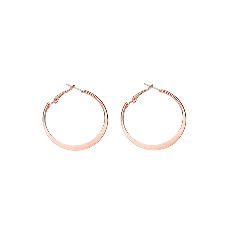 1 Paar Herren Damen Roségoldfarbene Creolen 2 mm 316L Edelstahl 30/40/50/60 mm IP-Beschichtung Kein Verblassen Allergiefrei – Detail 1