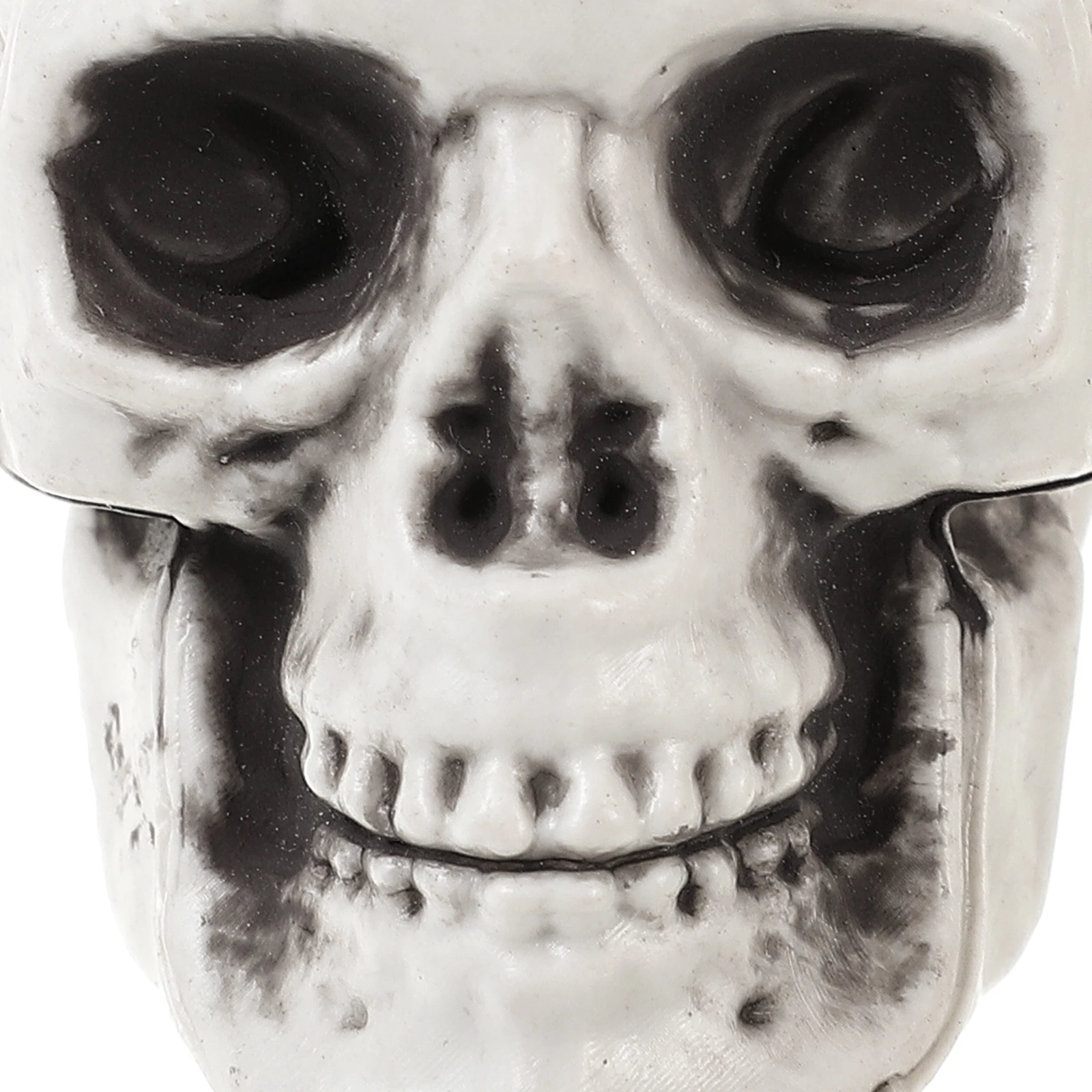 

Realistic Skull Props Head Decoration Halloween Party Scare Atmosphere Family Decor Plastic Creepy Model