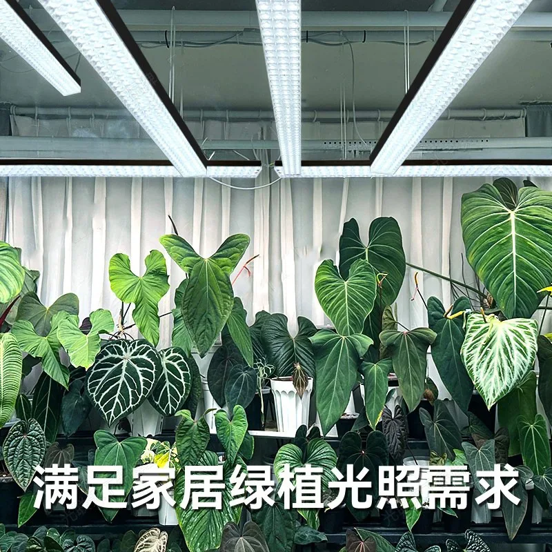 2026 New 300W LED Full Spectrum Plant Grow Light E27 Lamp Base LED Full Spectrum Plant Supplemental Lighting Sunlight HOT