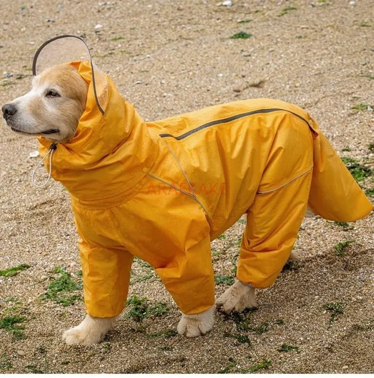 Pet dog, big dog, medium to large dog, golden haired Samoyed, Alaska, all inclusive raincoat, hooded bag, tail rain gear