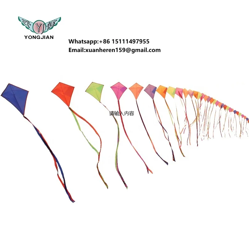 Factory Direct Sales Kite Made in China Kites for Adults Bunting Kite
