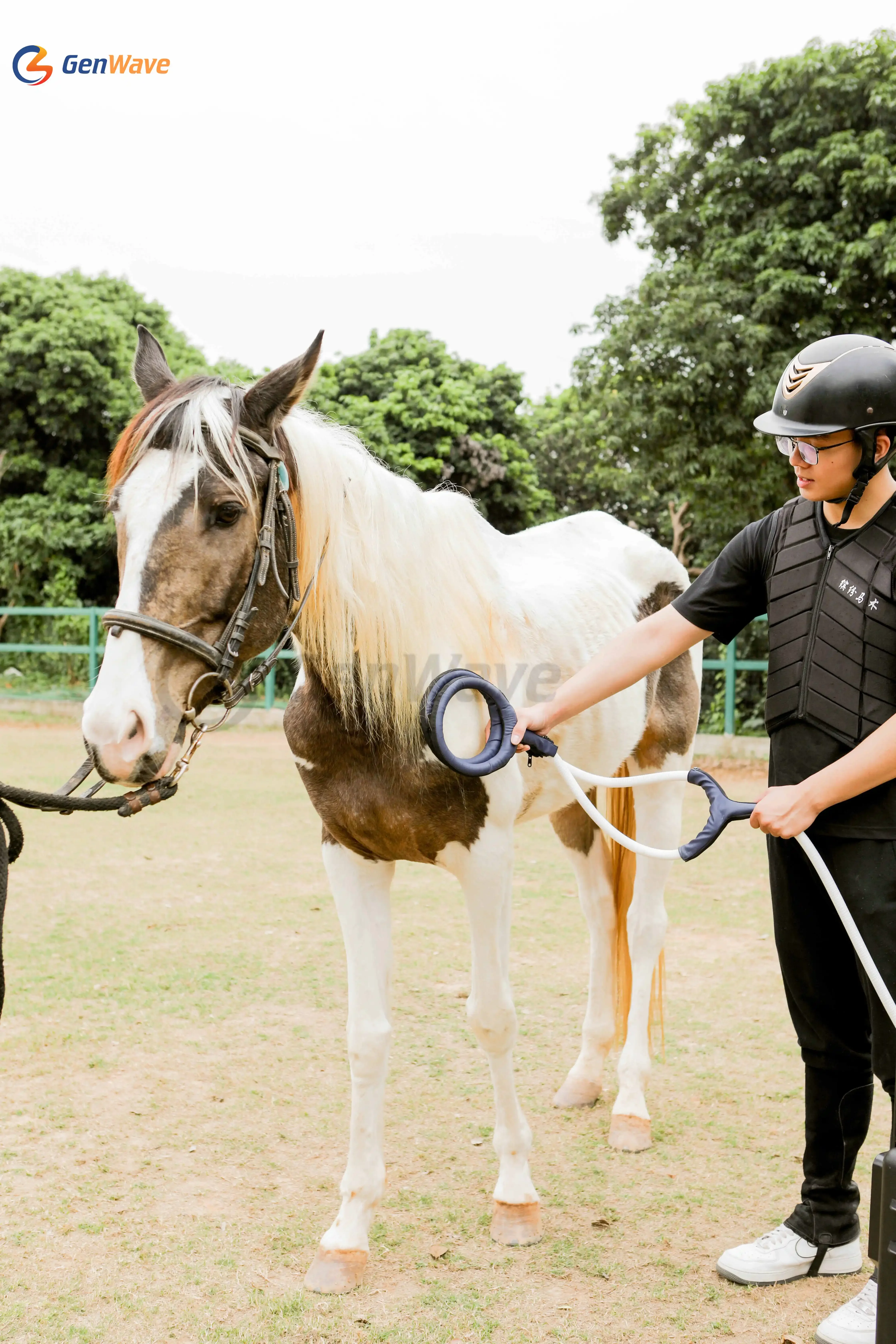 Dispositivo portátil de terapia magnética Pemf Pmst Loop Horse Máquina Pemf de terapia magnética
