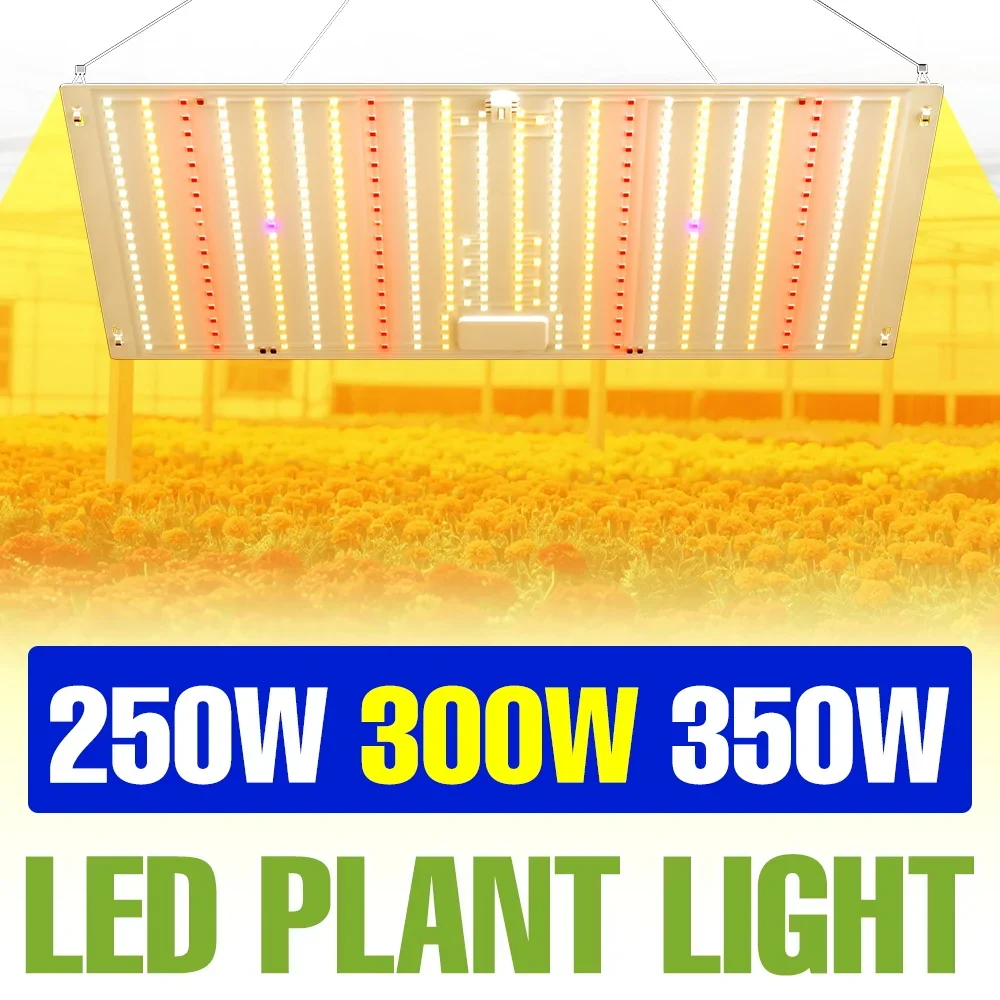 

350W LED Grow Lamp Full Spectrum 100-277V Quantum Board Plant Light Indoor Seeds Cultivation Lamps Greenhouse Tent Fill Lighting