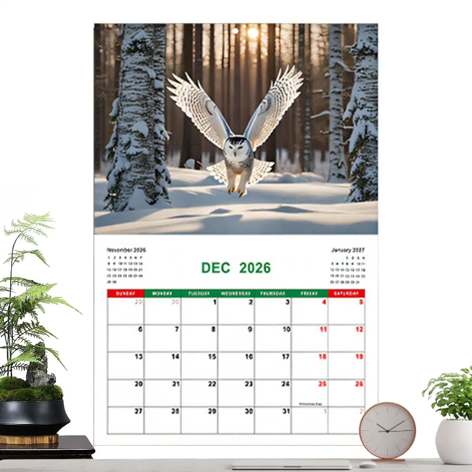 

Owl Calendar Monthly Calendar Planner 2026 Personal Time Management Planner Offices Supplies For To-Do List Goals Organizing