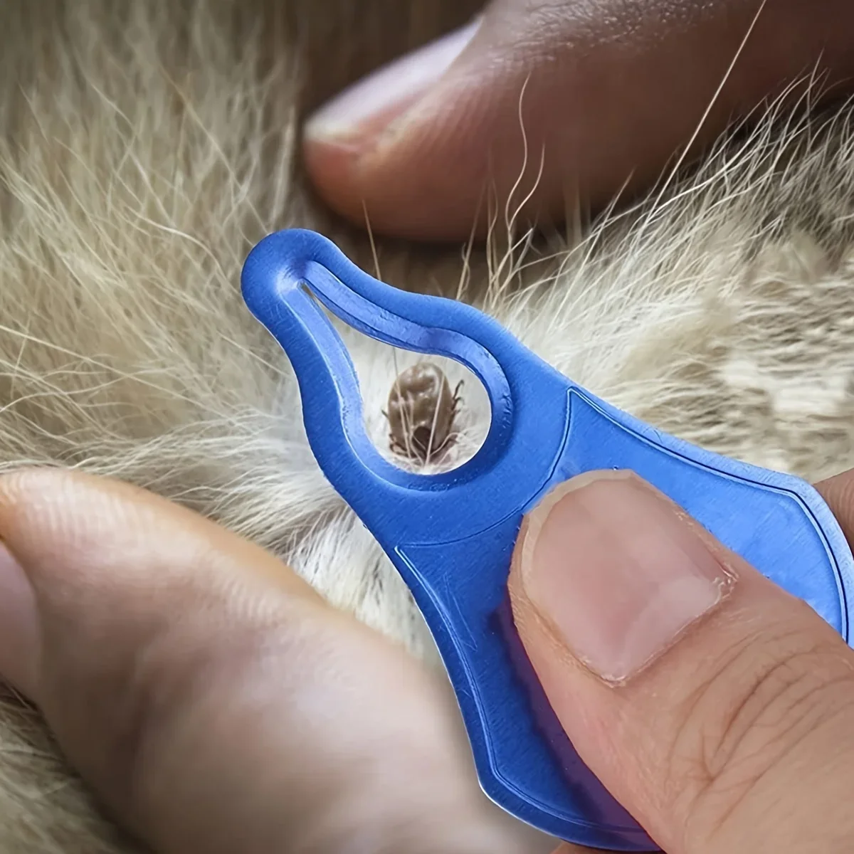 Portable Pet Flea Tick Removal Tool, Professional Grooming Cleaner Kit for Dogs & Cats view 5