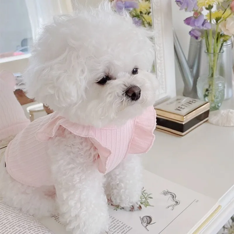 Cute Bow Dog Vest 2024 Dog Clothes Puppy Pullover Summer Pet Clothes Breathable Two-Legged Clothes Solid Color Cat Pet Products