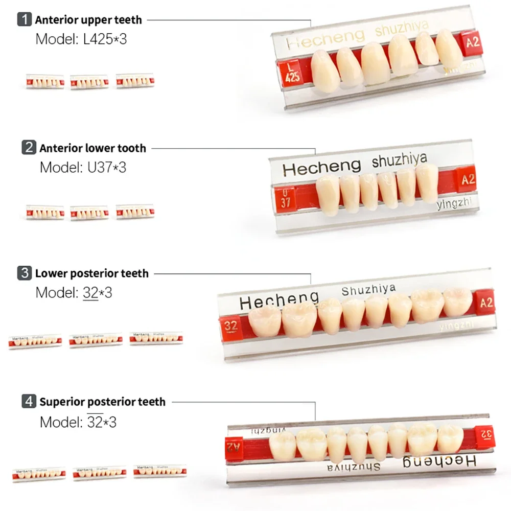 Artificial Tooth Acrylic Resin Temporary False Teeth Upper Lower Denture Tooth Fake Dentures Halloween Horror Prop For Women And