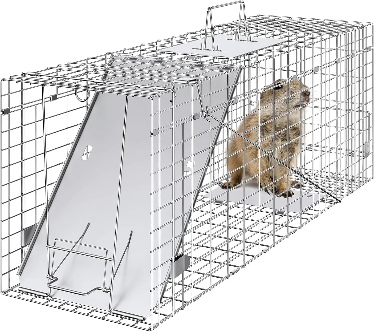 

Live Animal Cage Trap 31x10x12 inch Humane Cat Trap Galvanized Iron Folding with Handle for Rabbits Stray Cats Raccoons