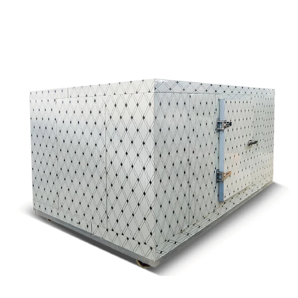 20ft/40ft Customized Industrial Negative Cold Room and Freezer Food Storage Cold Storage Room Cooling Room Customized
