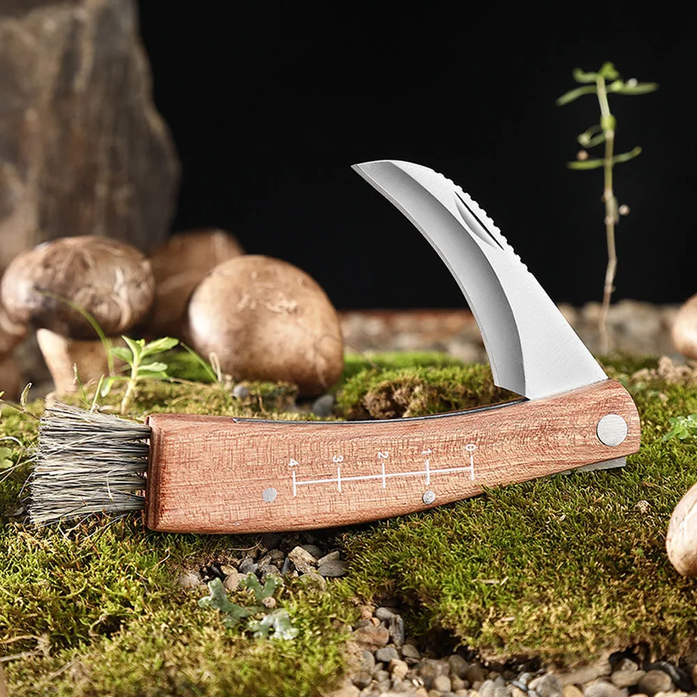 Rosewood Handle Mushroom Knife Outdoor Keychian Folding Knife Camping BBQ Hand Tools With Brush EDC Grafting Knives