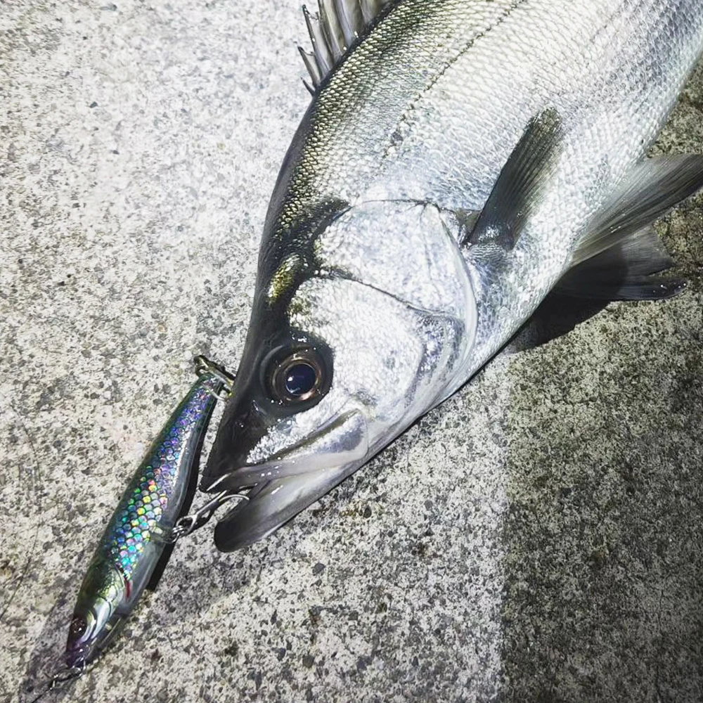 Señuelo lápiz popper hundible – Crankbait de vinilo para mar - imagen 3