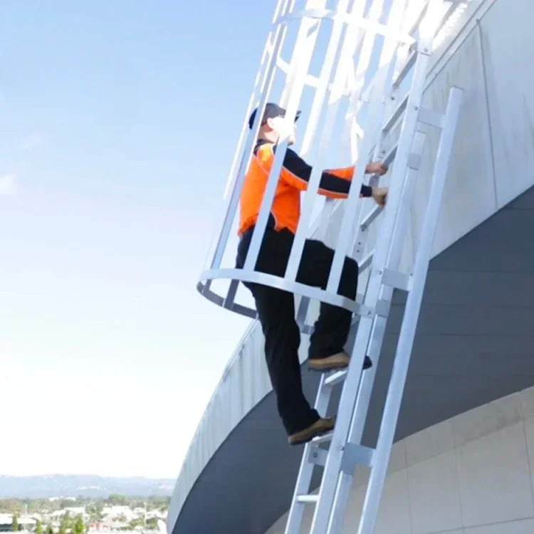 Escalera de pared metálica para techo, capacidad Industrial de seguridad de primera calidad, con jaula, escaleras verticales para Escape contra incendios