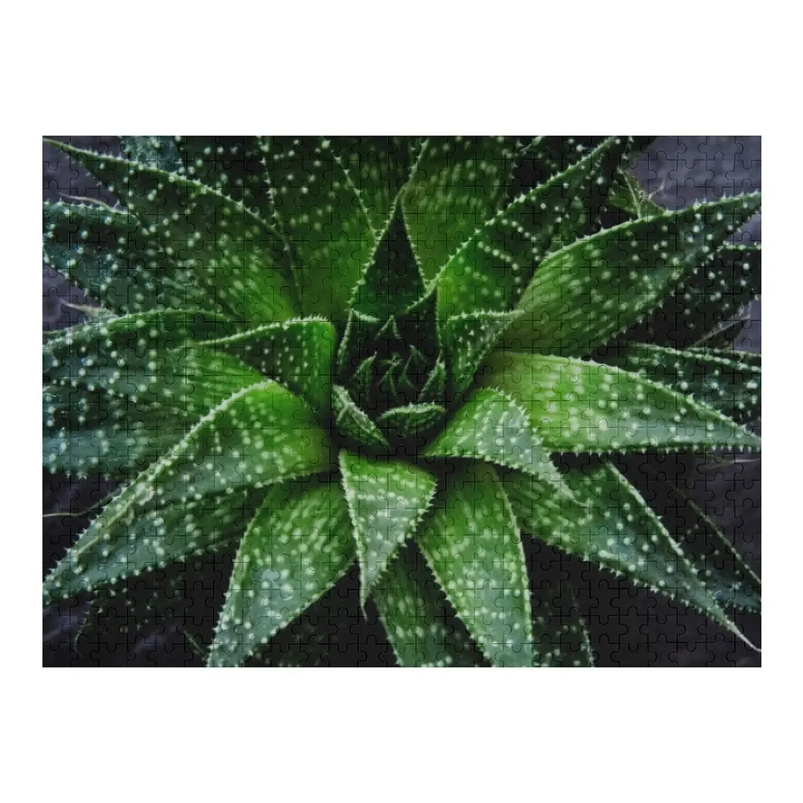 

Сочный. Haworthia fasciata Пазл с животными Деревянные рождественские игрушки для взрослых Пазл
