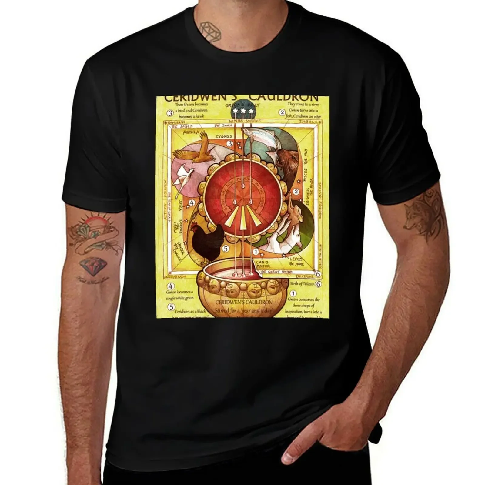 

Ceridwen's Cauldron T-Shirt cotton man t-shirts street wear funny meme t-shirts plain t shirts men