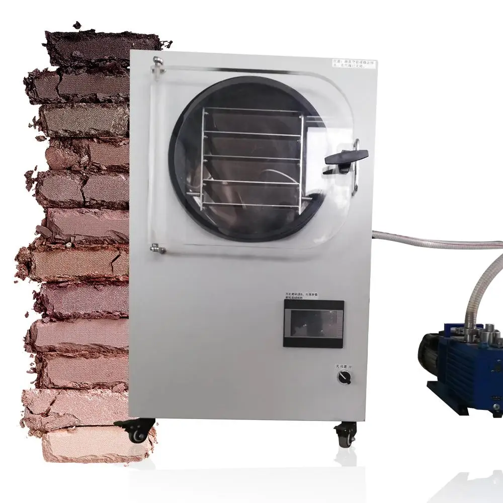 

Good Quality Vacuum Freeze Drying Equipment Food Freezer Dryer Price Cheapest Price Vacuum Drying Equipment