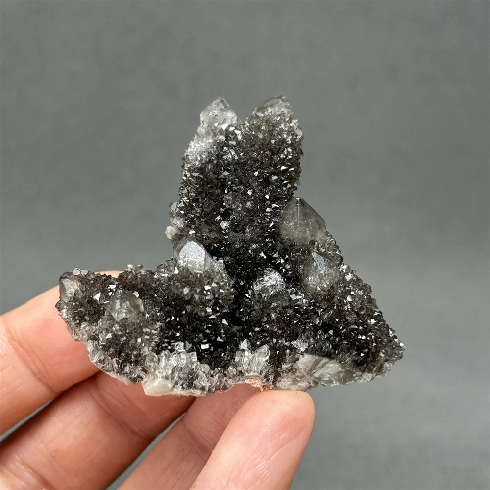 100% Natural South African Black Crystal Cactus Mineral Raw Stone Crystal Cluster Aura Healing Meditation Energy Home Decoration