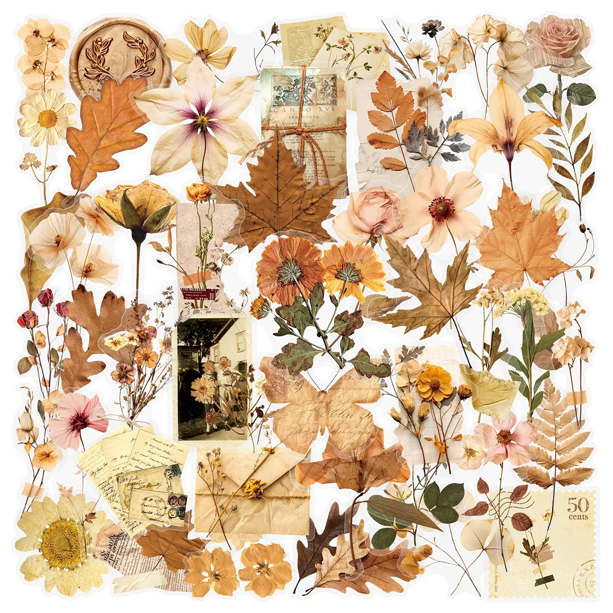 

50Pcs Retro Dried Flower Leaf Stickers Transparent Aesthetic Decals for Stationery Diary Phone Case Scrapbooking DIY Decor