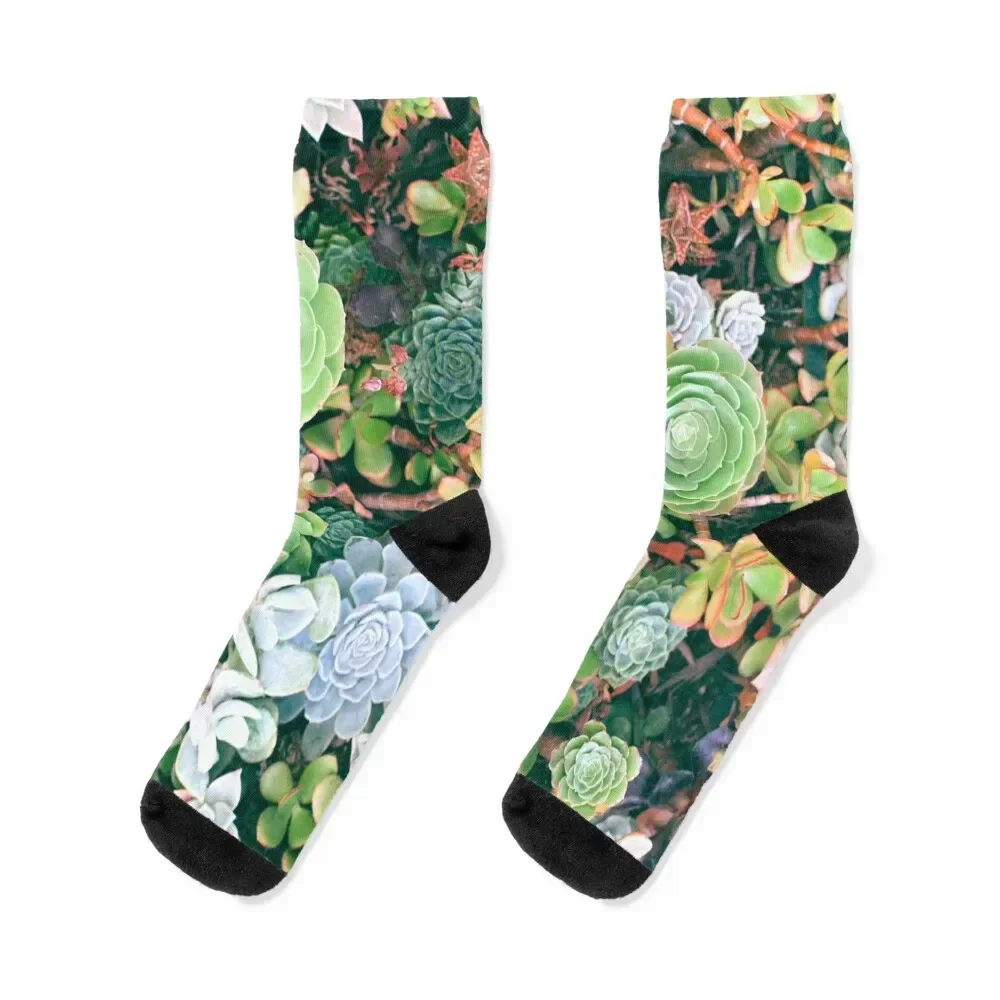 Succulent Succulent Socks crazy kids snow Socks Men Women's