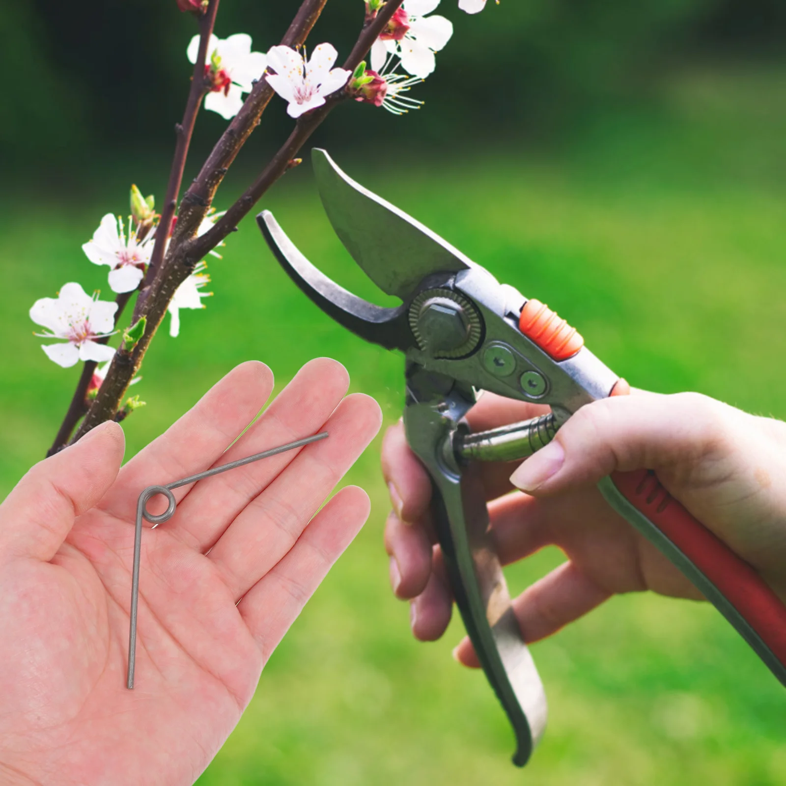 

25Pcs High Branch Pruner Springs Stainless Steel V-Shape Torsion Compression Spring Replacement Parts for Garden Shears