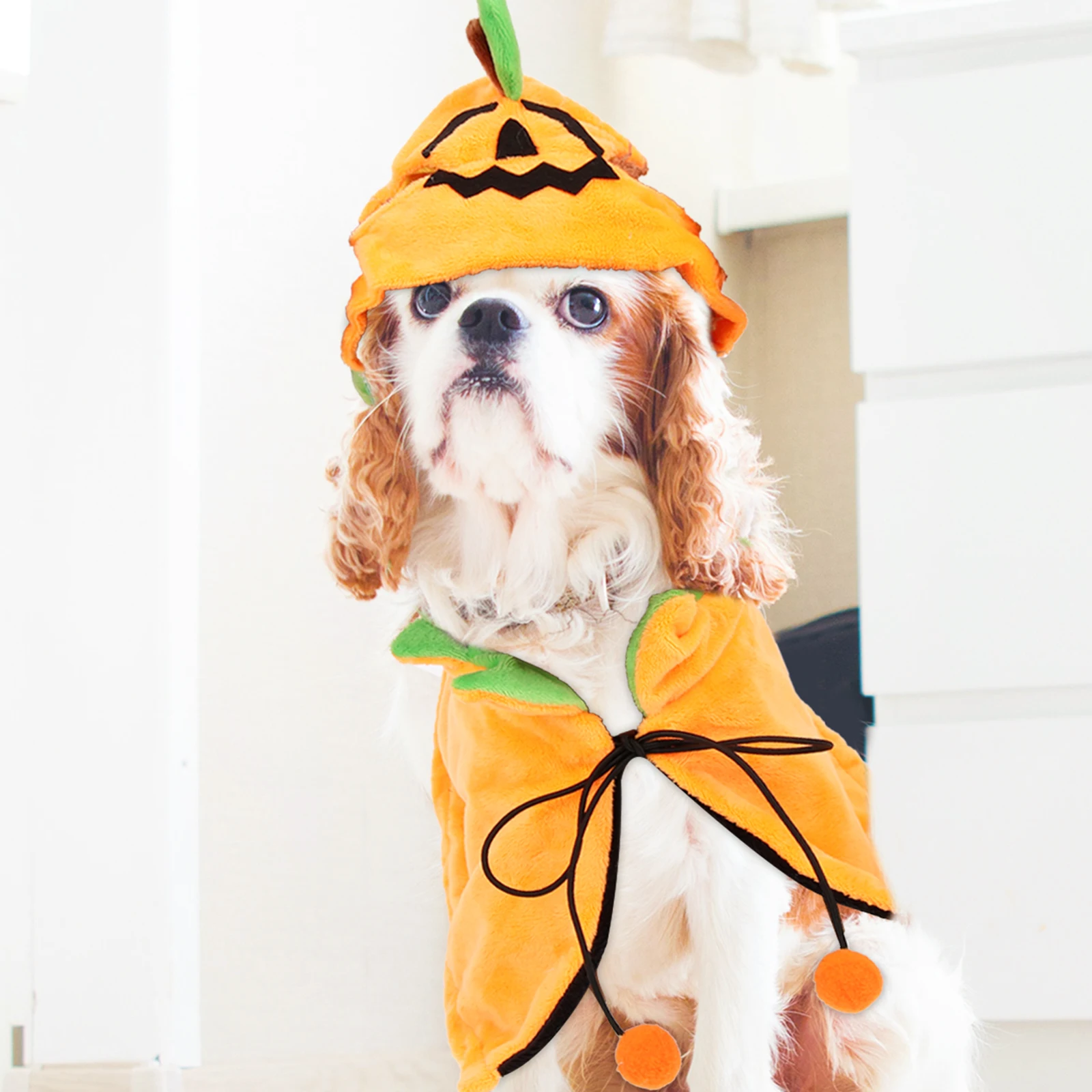 

Comfortable Pet Hat Cloak Halloween Costumes For Cats And Dogs Festive Party Accessories