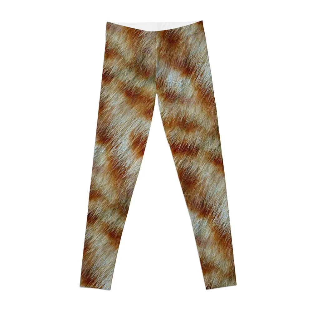 Orange Tabby Kitty Fur Texture Leggings gym womans workout shorts Training pants Womens Leggings