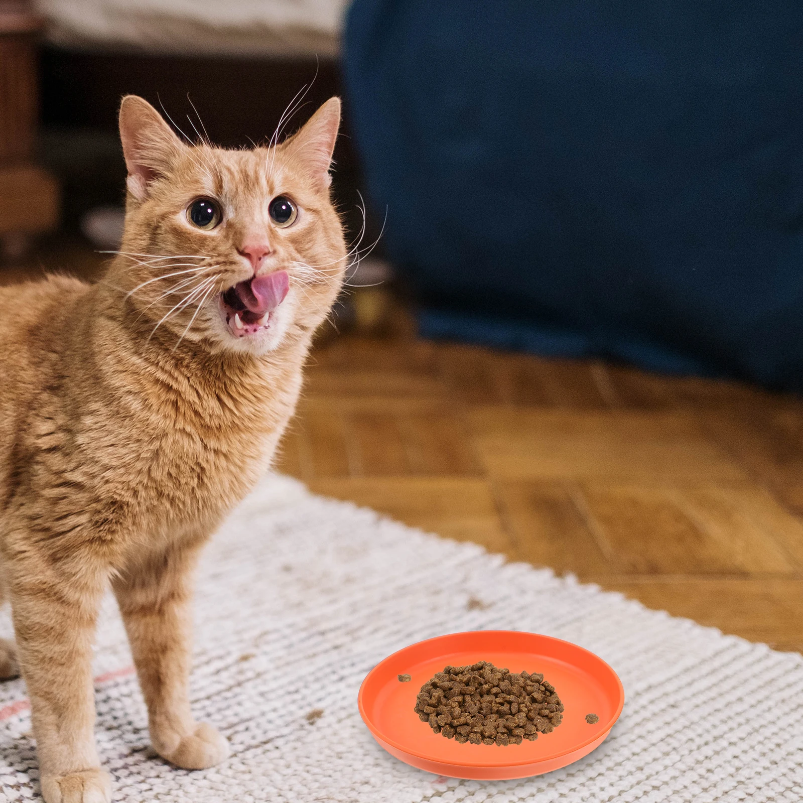 

4 Pcs Pet Multifunctional Food Tray Cat Feeder Small Feeding Bowl Plates Pp Dog