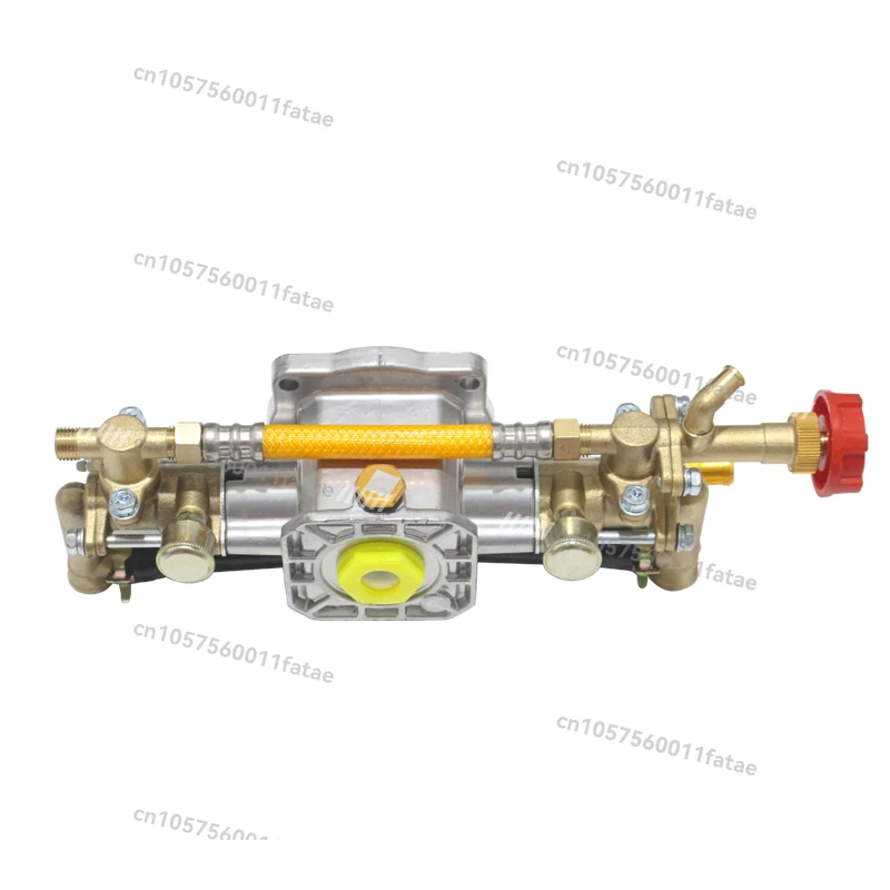 

High Pressure Motorized Sprayer Main Pump Head Casifa 220V Single Phase Garden Sprayer Twin Cylinder Piston Pump Accessories