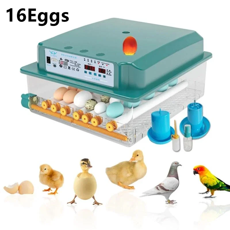 EU US Plug Stock Eggs Incubator 16 Eggs Digita Mini Automatie Incubatores for Hatching Turkey Goose Quail Chicken Egg Hatching