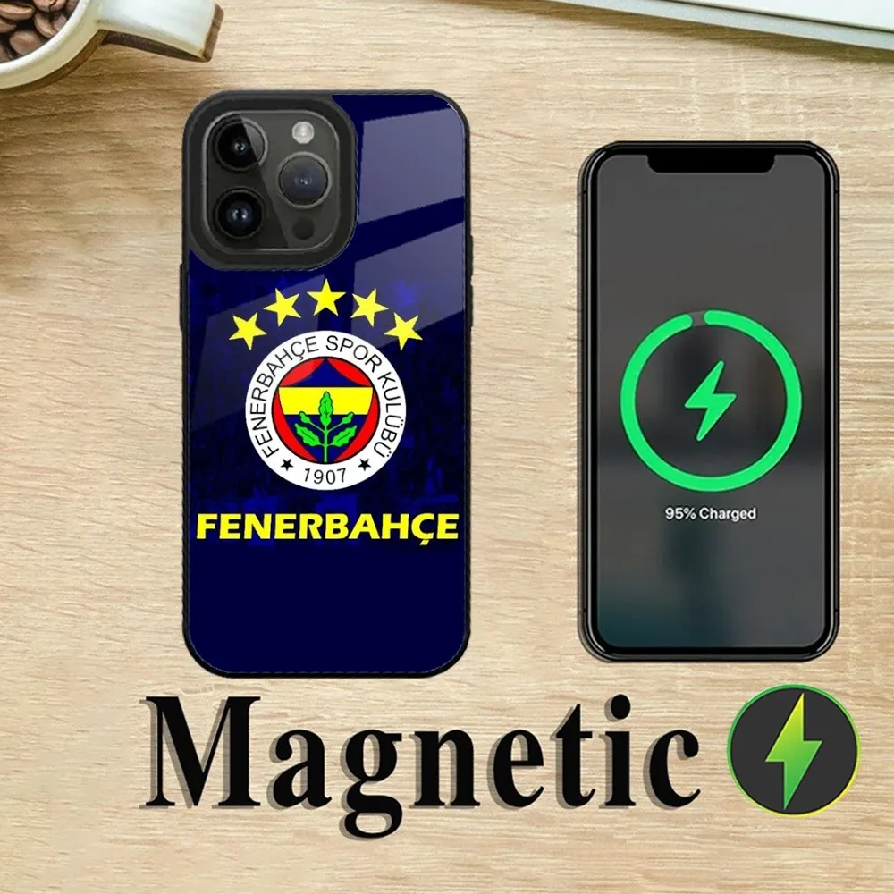 T-Turkey Fenerbahce-E  Phone Case For iPhone 15,14,13,12,11,Plus,Pro,Max Mini Magsafe Magnetic Wireless Charging