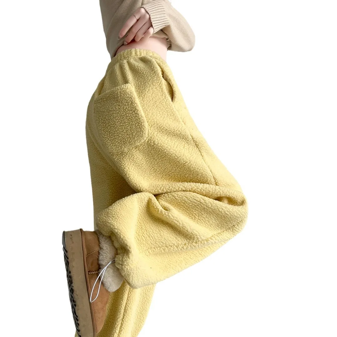 Lazy style wide-leg pants for women winter new double-sided polar fleece high-waisted loose straight pants warm casual pants