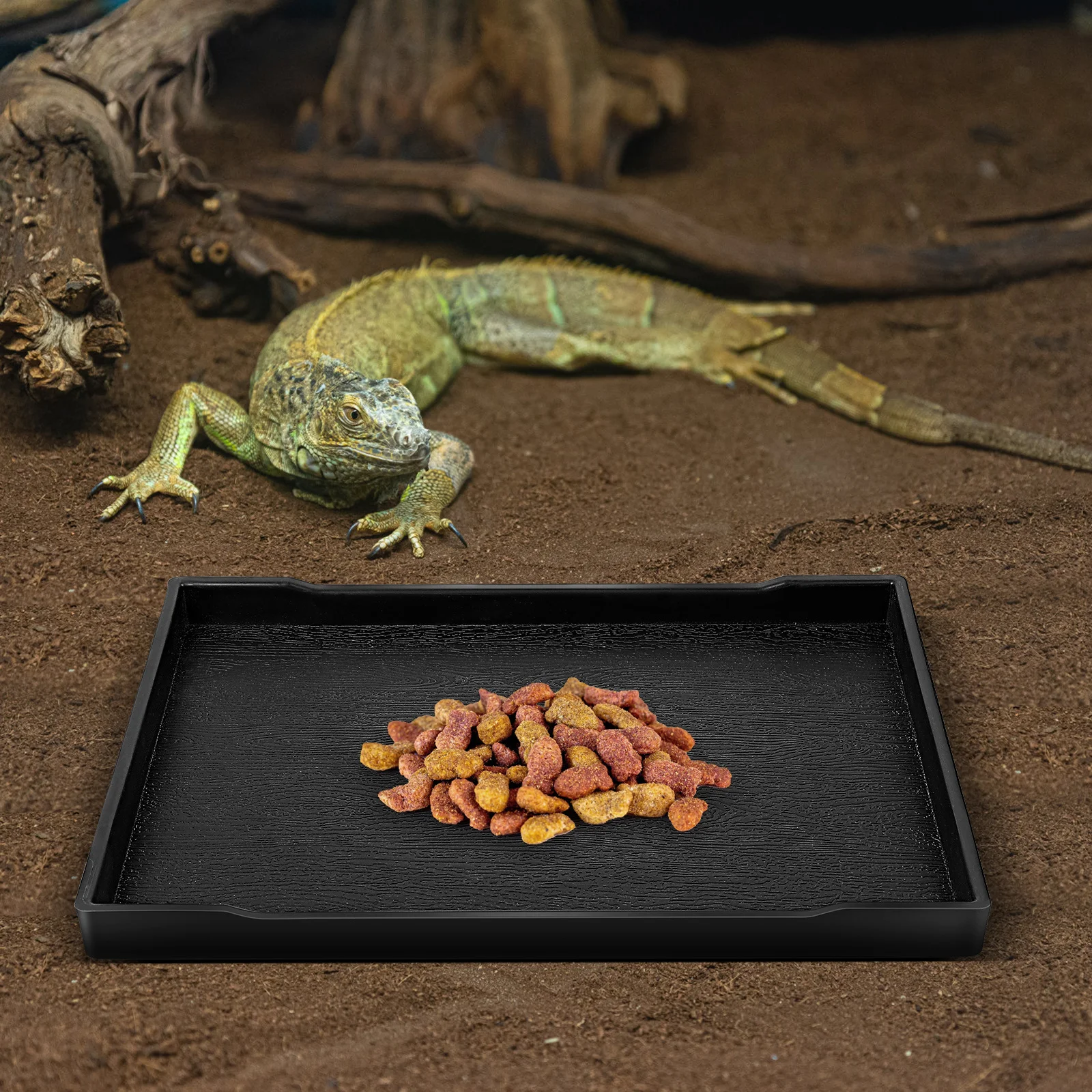 

1Pcs Reptile Food Dish Durable Tortoise Feeding Bowl Turtle Lizard Water Bowl Natural Texture Reptile Accessories Shallow Design