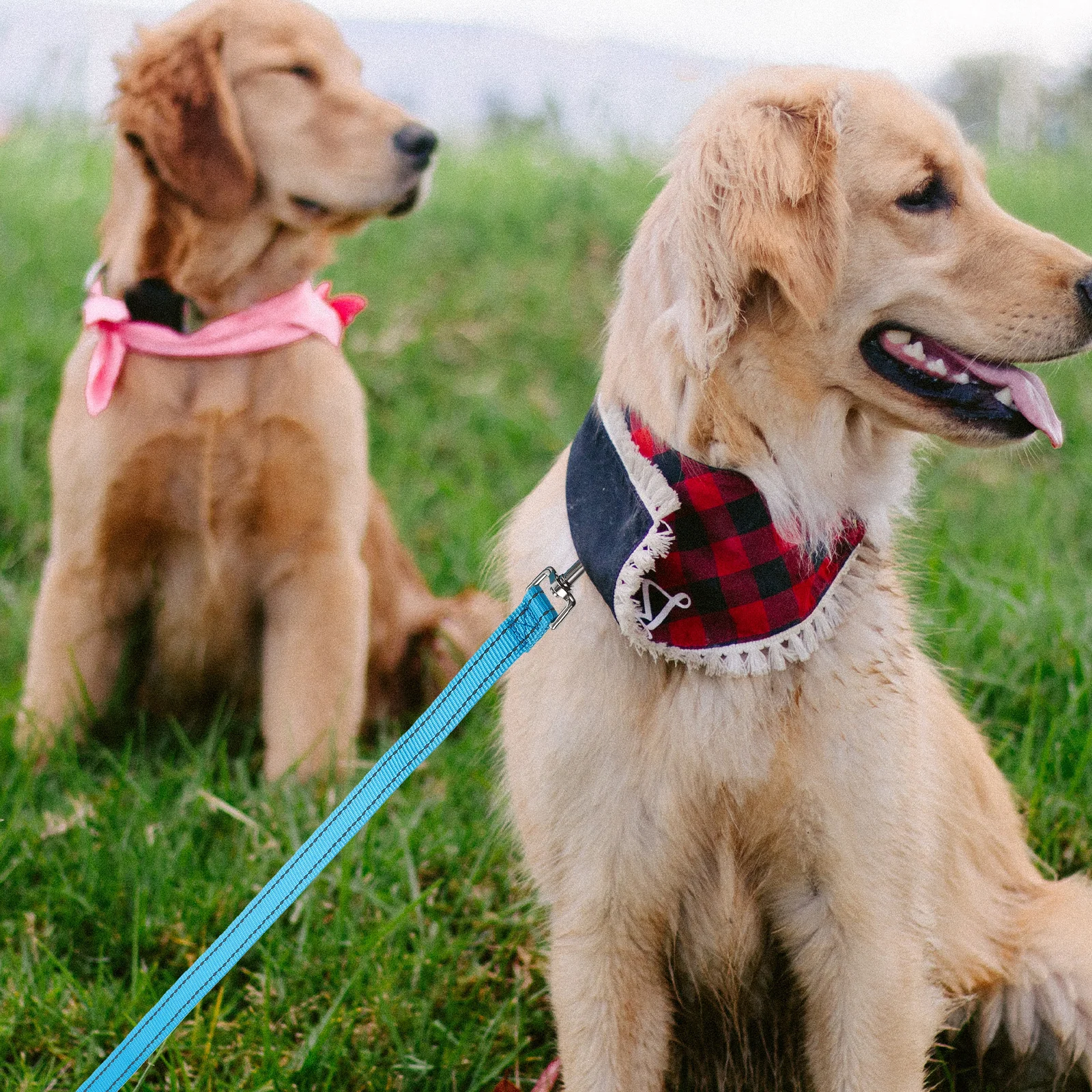 

Reflective Dog Leash 20mm x 120cm Durable Nylon for Small Medium Large Dogs Walking Training pet heavy duty nylon for medium