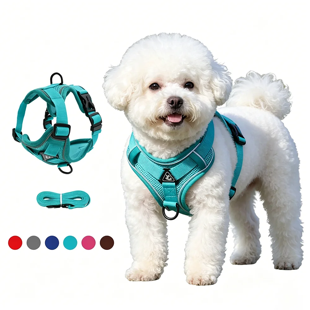 #59 Latest Reflective Dog Leash Offers