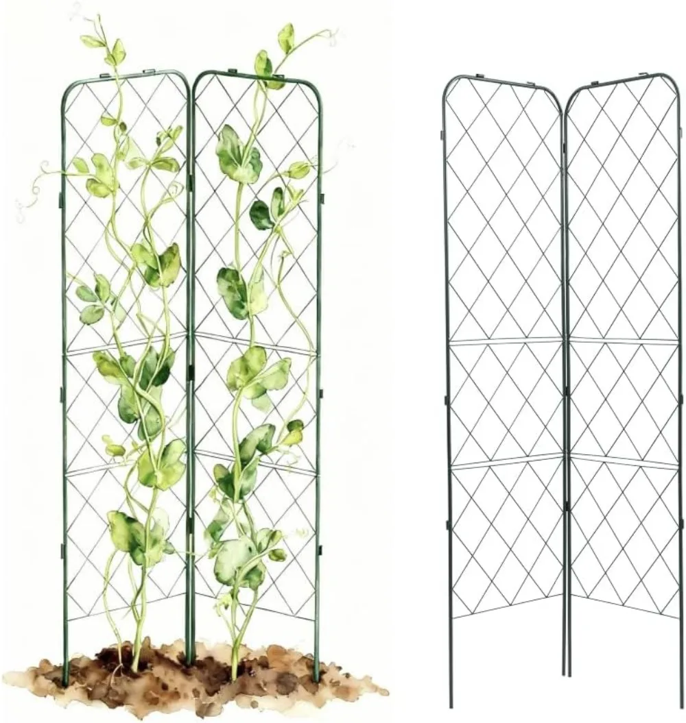 A-Frame Trellis 80