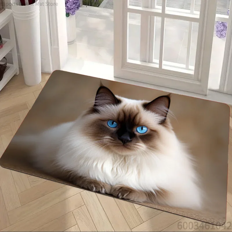 Ragdoll Cat Rug Velvet Flannel Printed Floor Mat Blue Eyes Design Decorative Carpet Doorway Entryway Decor